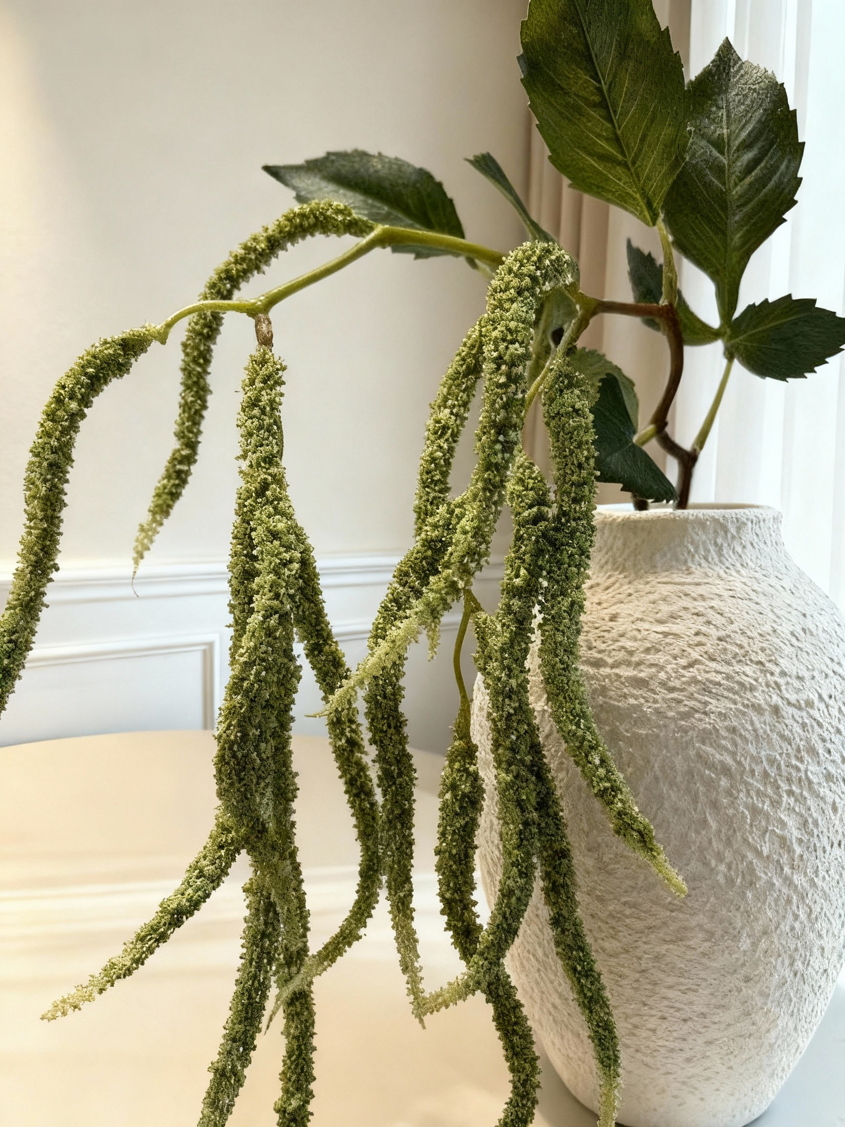 Amaranthus - Matcha Green