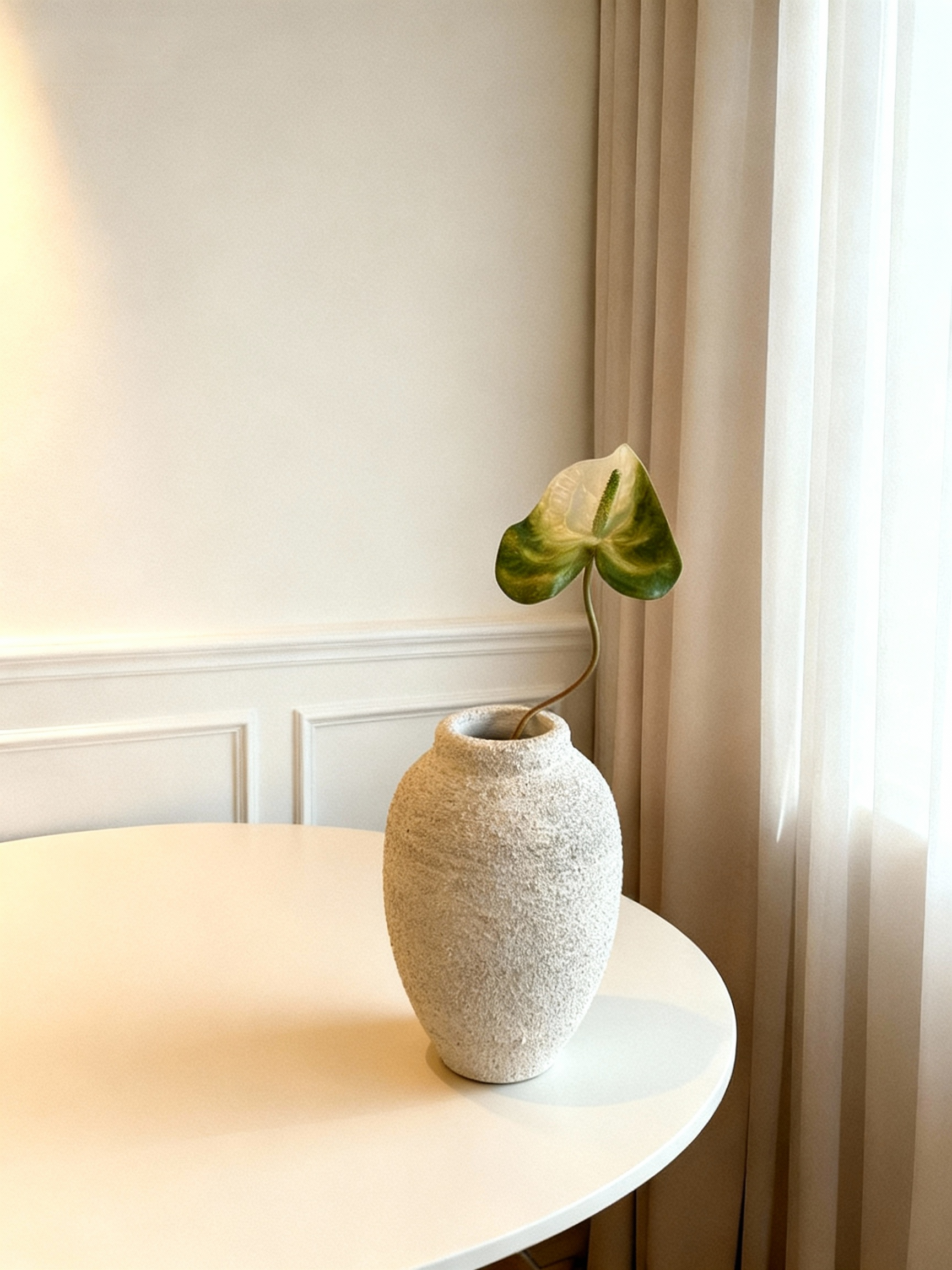 Anthurium - White & Green