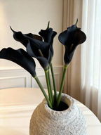Calla Lily - Black