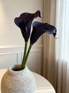Calla Lily - Midnight Purple
