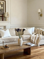 Calla Lily - Midnight Purple