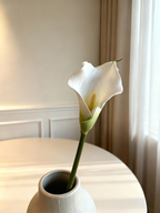 Calla Lily - White