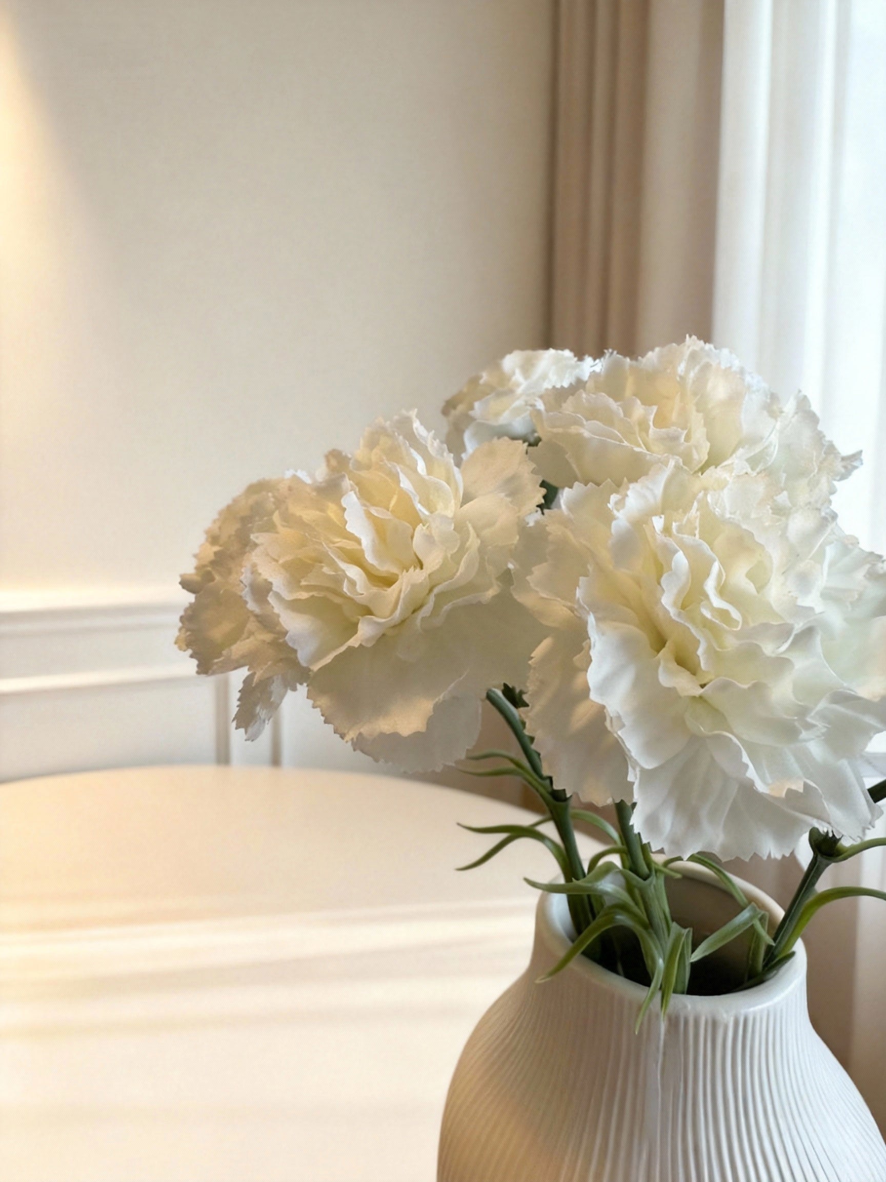 Carnation (Dianthus caryophyllus) - White
