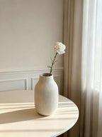 Carnation (Dianthus caryophyllus) - White