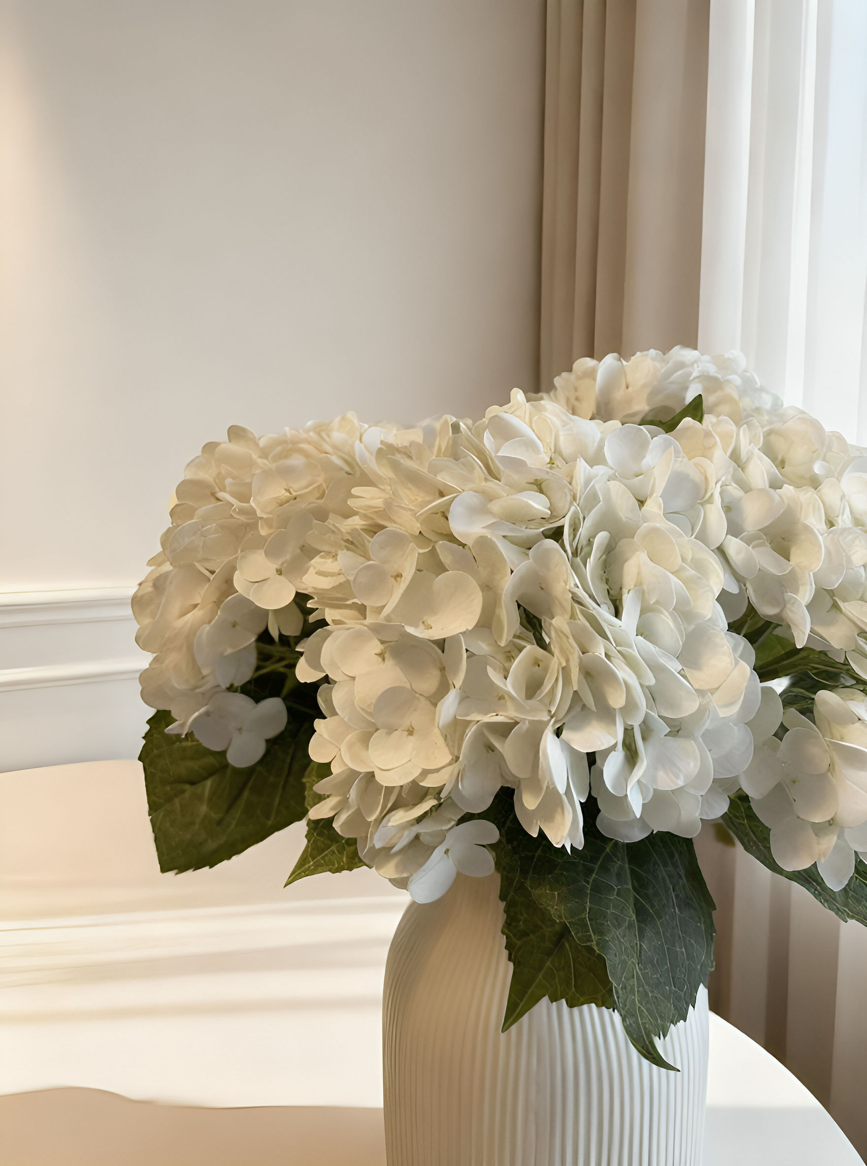 Hydrangea - White