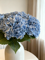 Hydrangea - Light Blue