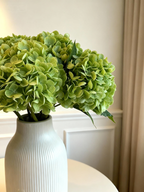Hydrangea - Matcha Green