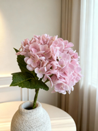 Hydrangea - Pastel Pink