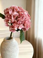 Hydrangea - Salmon Pink