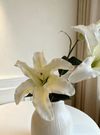 Lily - White