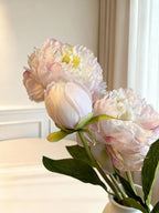 Peony - Light Pink