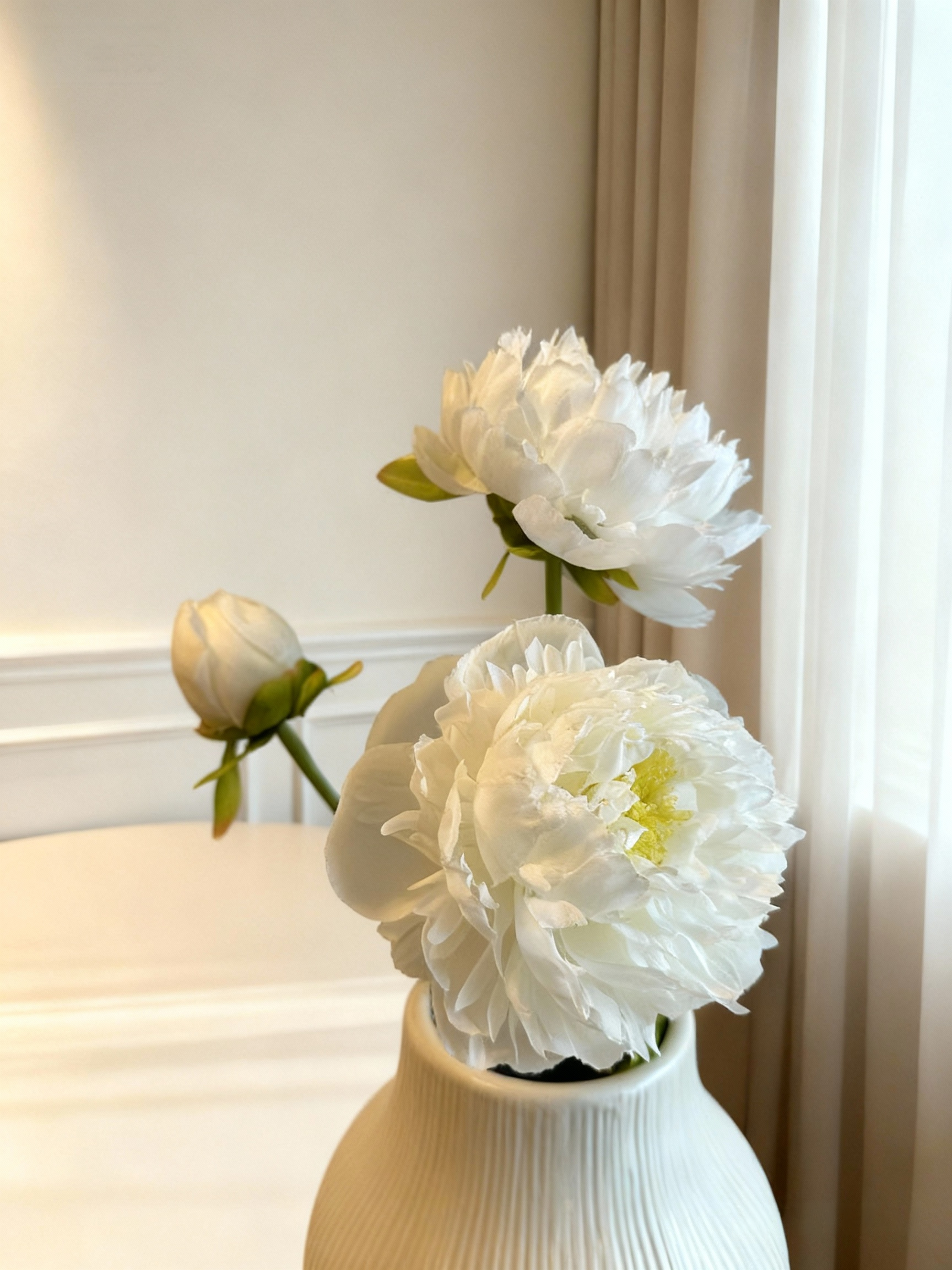 Peony - White