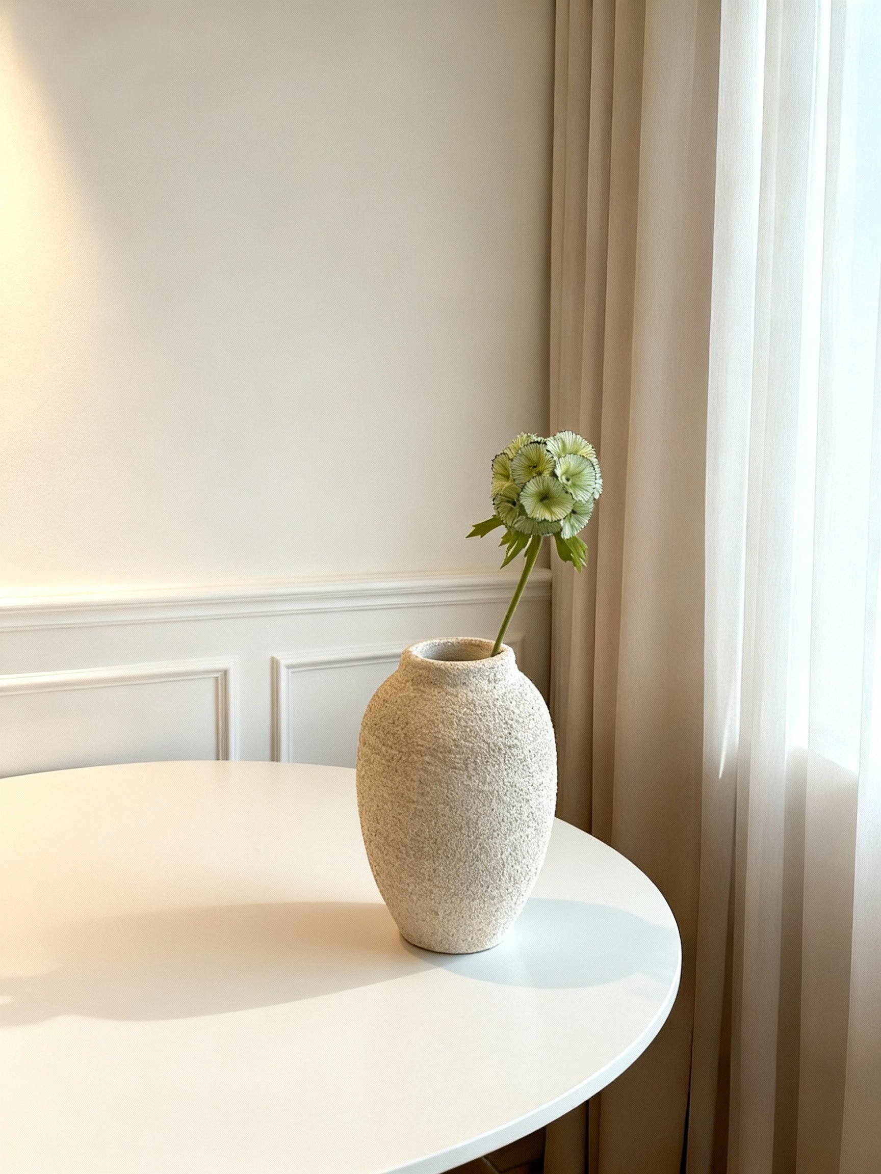 Scabiosa Stellata (Seed Pod) - Light Green