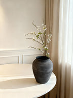 Spiraea Thunbergii - White